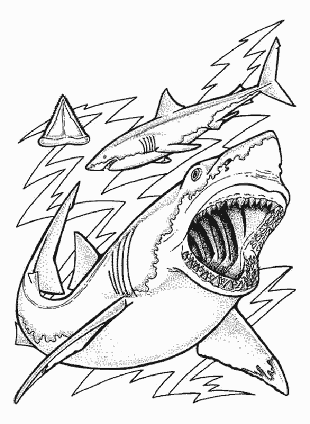 Thrilling Shark Coloring Pages Printable 15