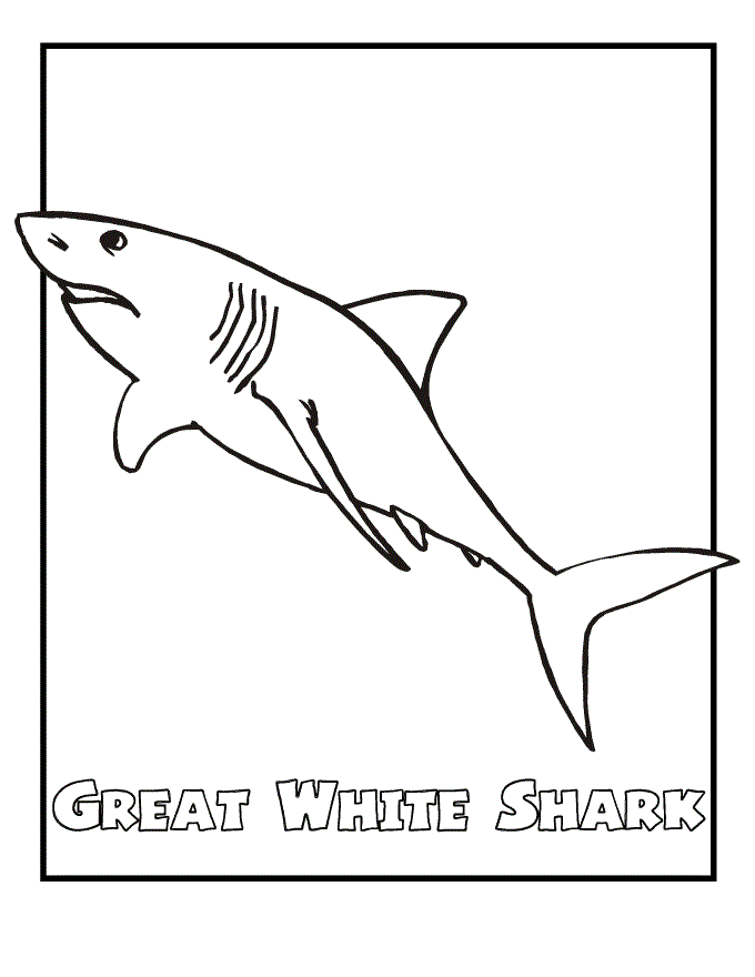 Thrilling Shark Coloring Pages Printable 16