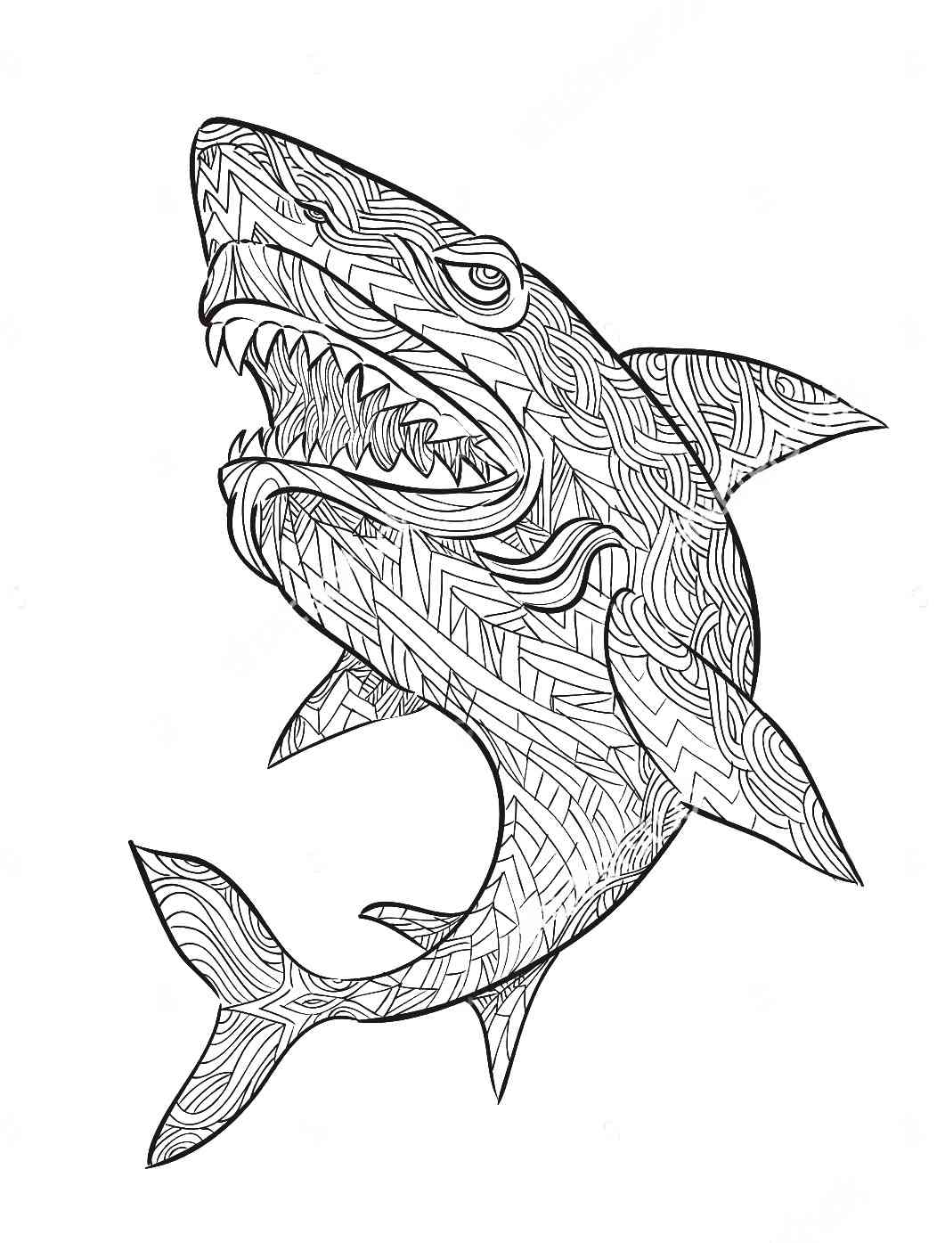 Thrilling Shark Coloring Pages Printable 18