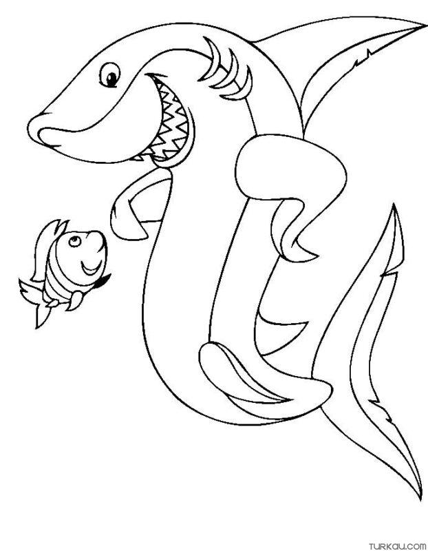 Thrilling Shark Coloring Pages Printable 19