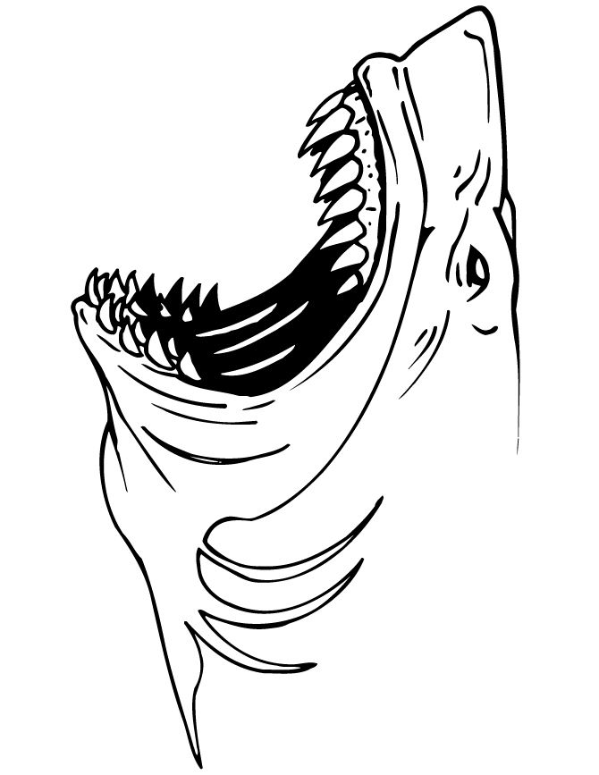 Thrilling Shark Coloring Pages Printable 20