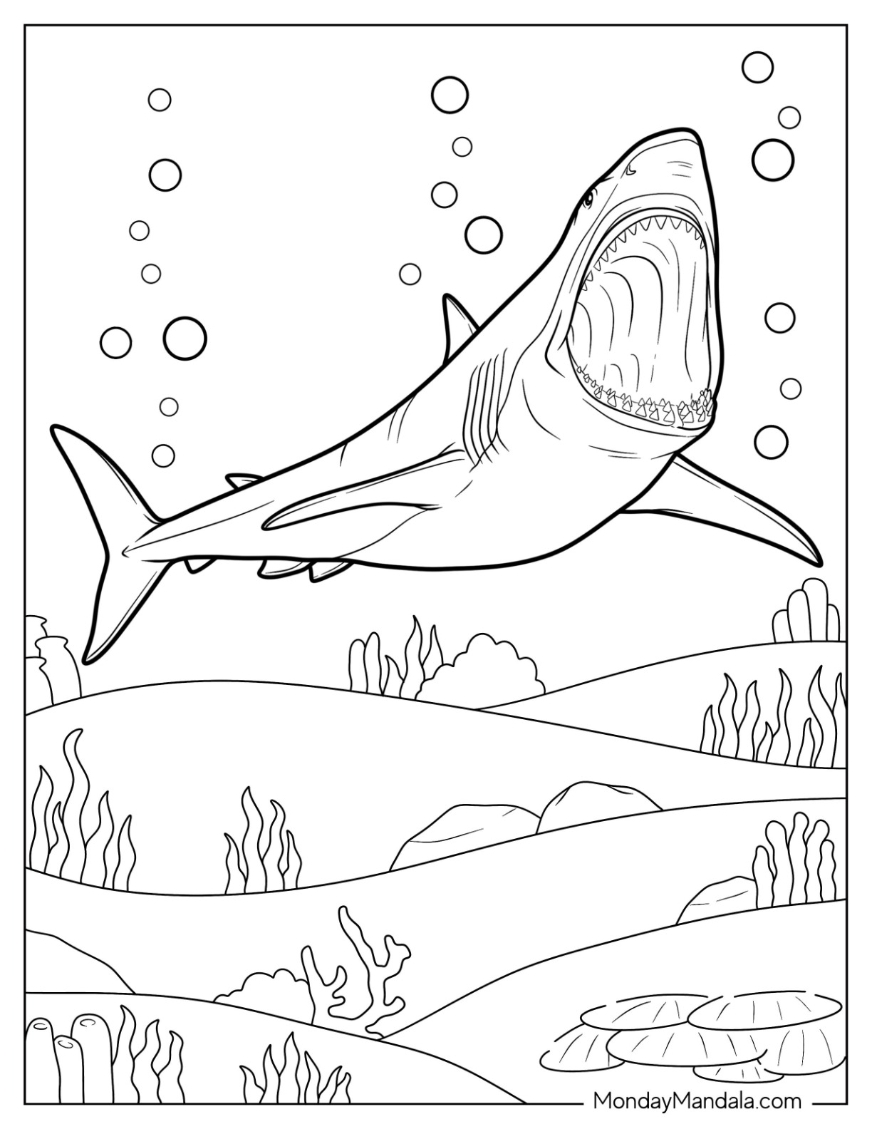 Thrilling Shark Coloring Pages Printable 21