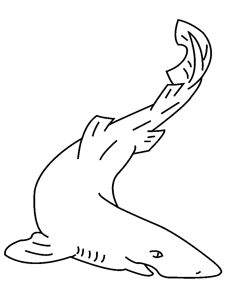 Thrilling Shark Coloring Pages Printable 25