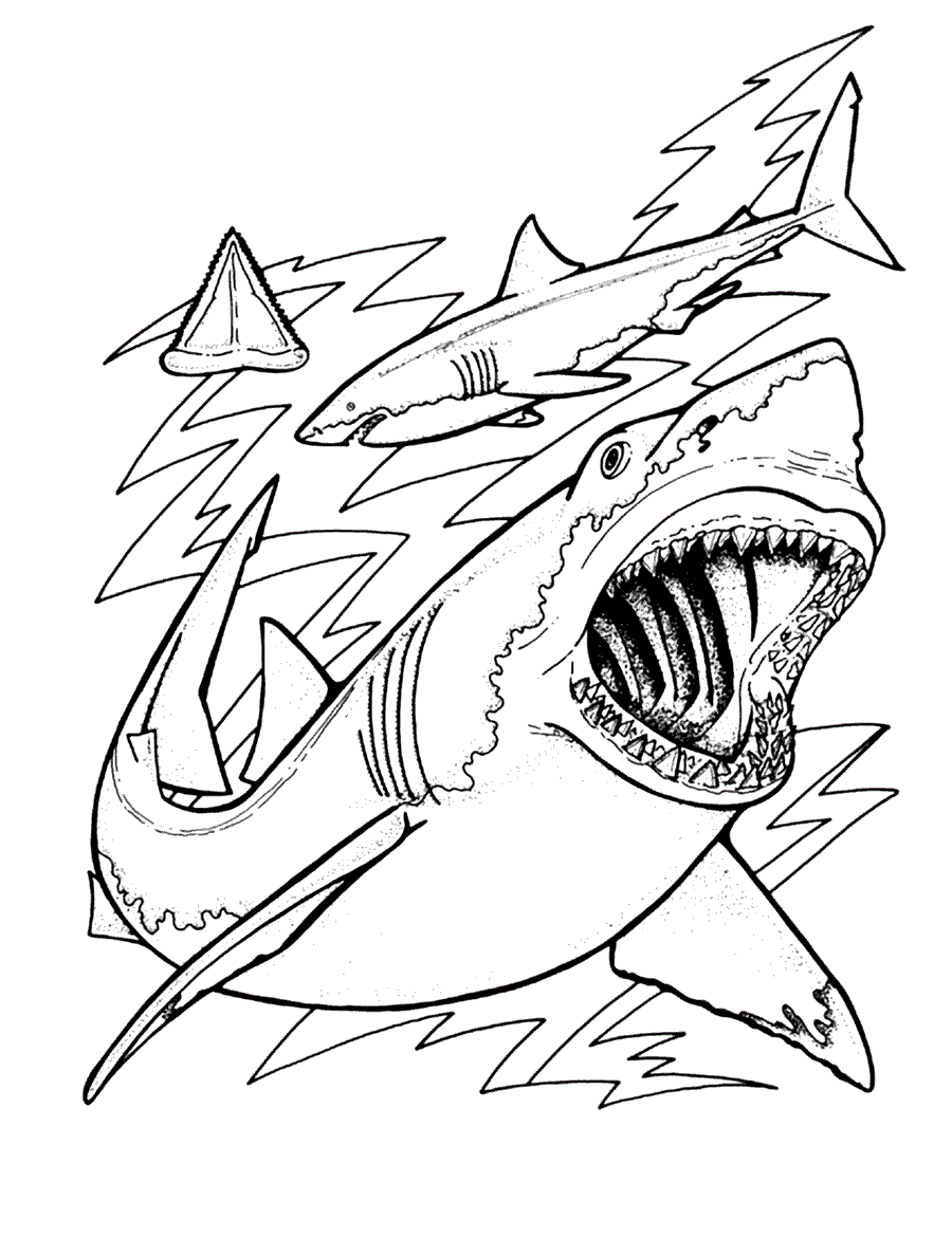 Thrilling Shark Coloring Pages Printable 28