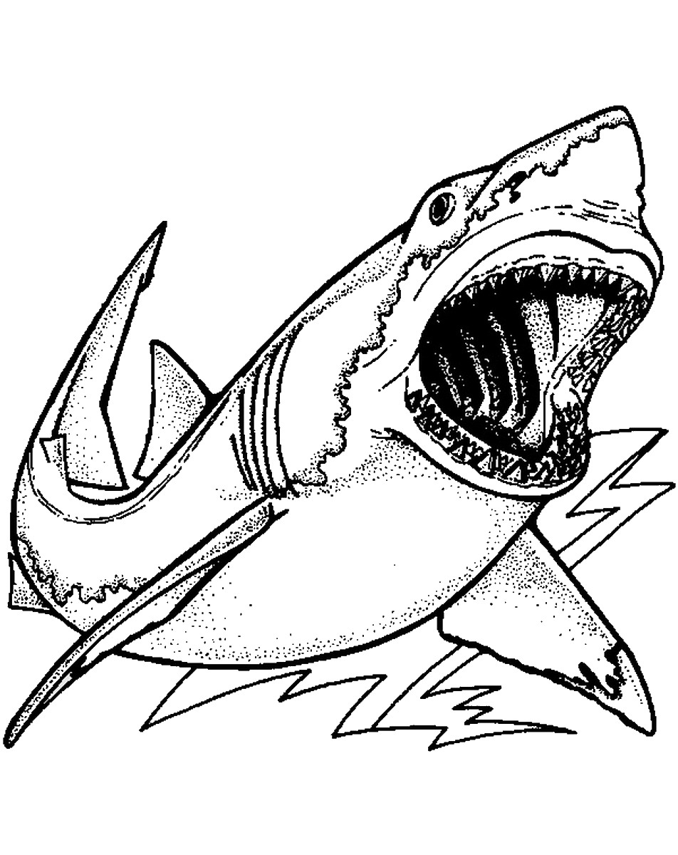 thrilling shark coloring pages printable jpg