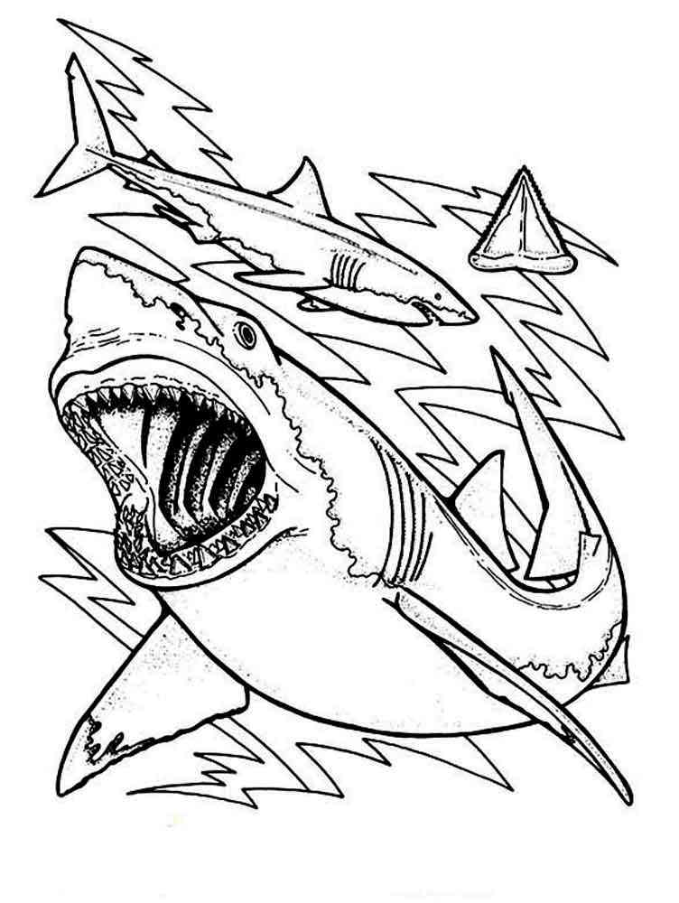 thrilling shark coloring pages printable jpg