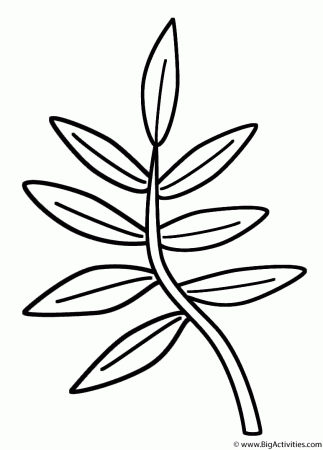 Tranquil Branches Coloring Pages Printable 15