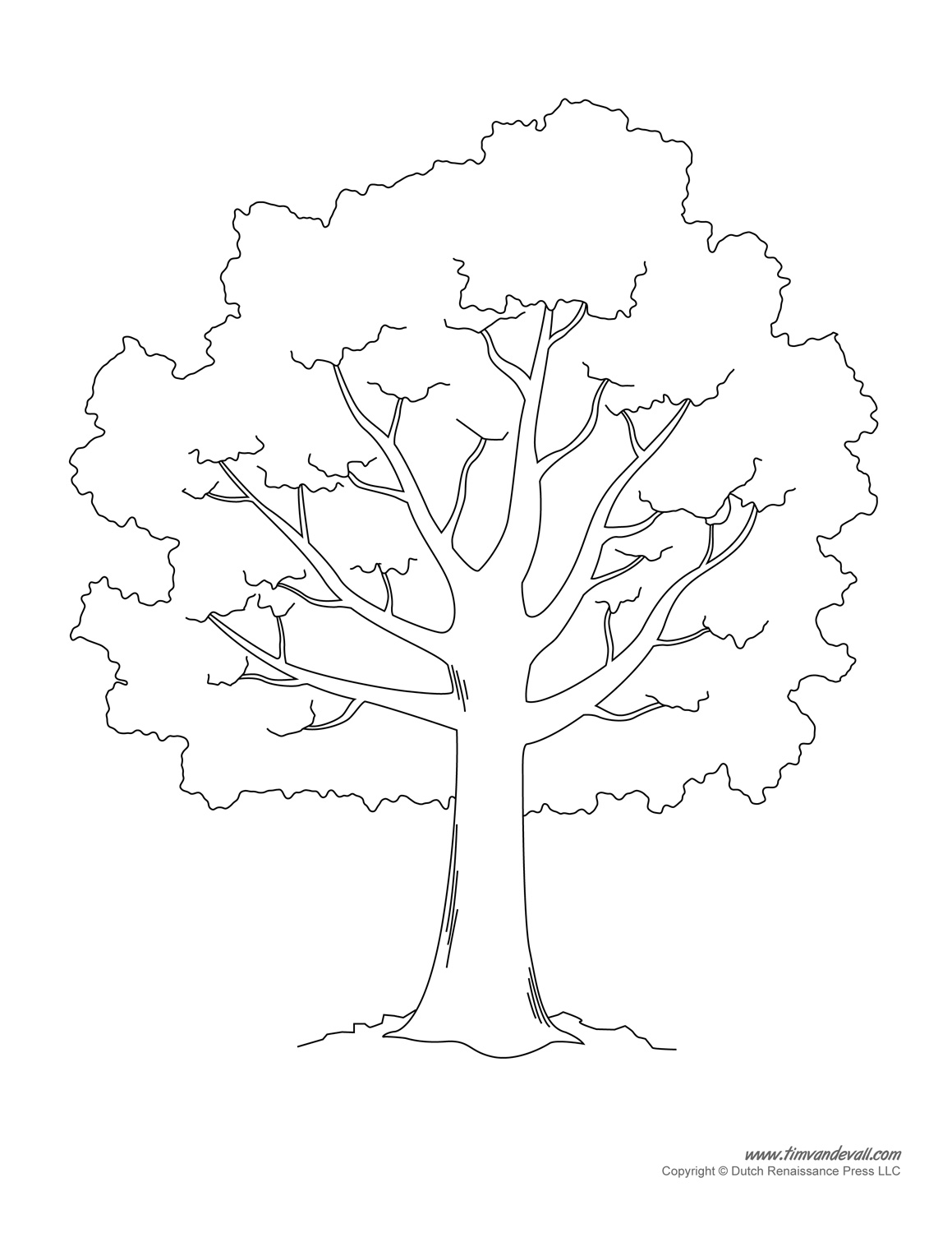 Tranquil Branches Coloring Pages Printable 16