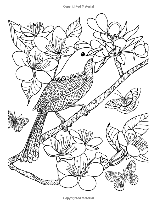 Tranquil Branches Coloring Pages Printable 2