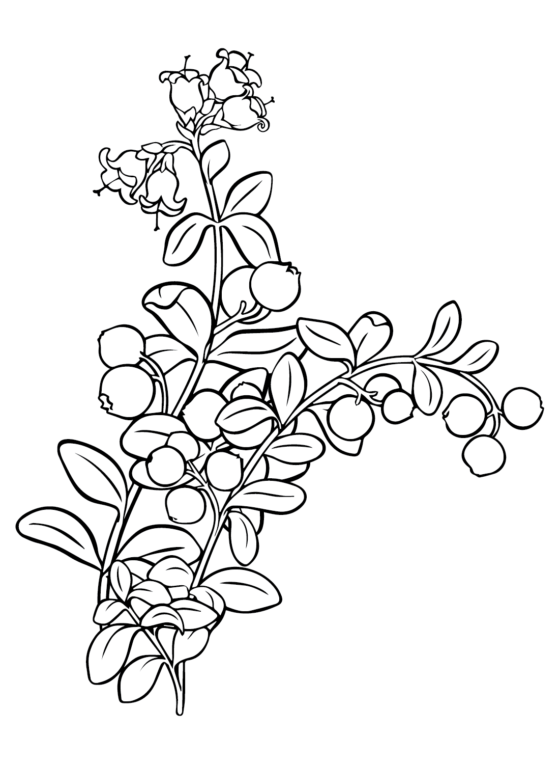 Tranquil Branches Coloring Pages Printable 21