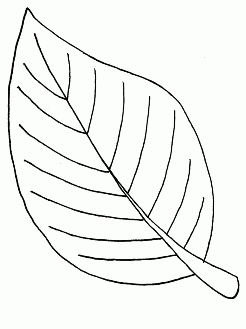 Tranquil Branches Coloring Pages Printable 23