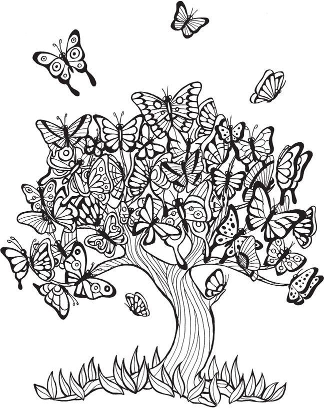 tranquil branches coloring pages printable jpg