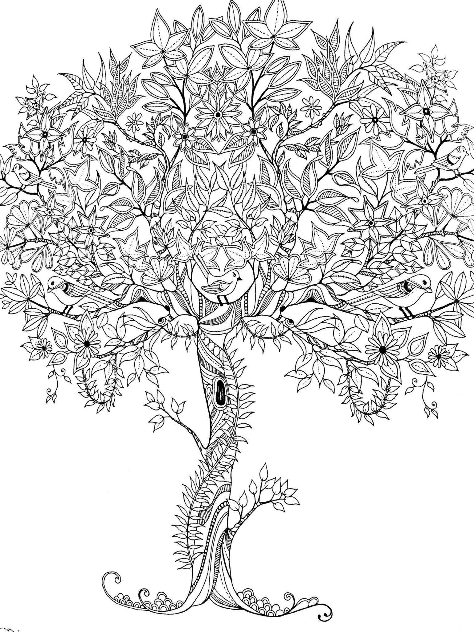 tranquil branches coloring pages printable jpg