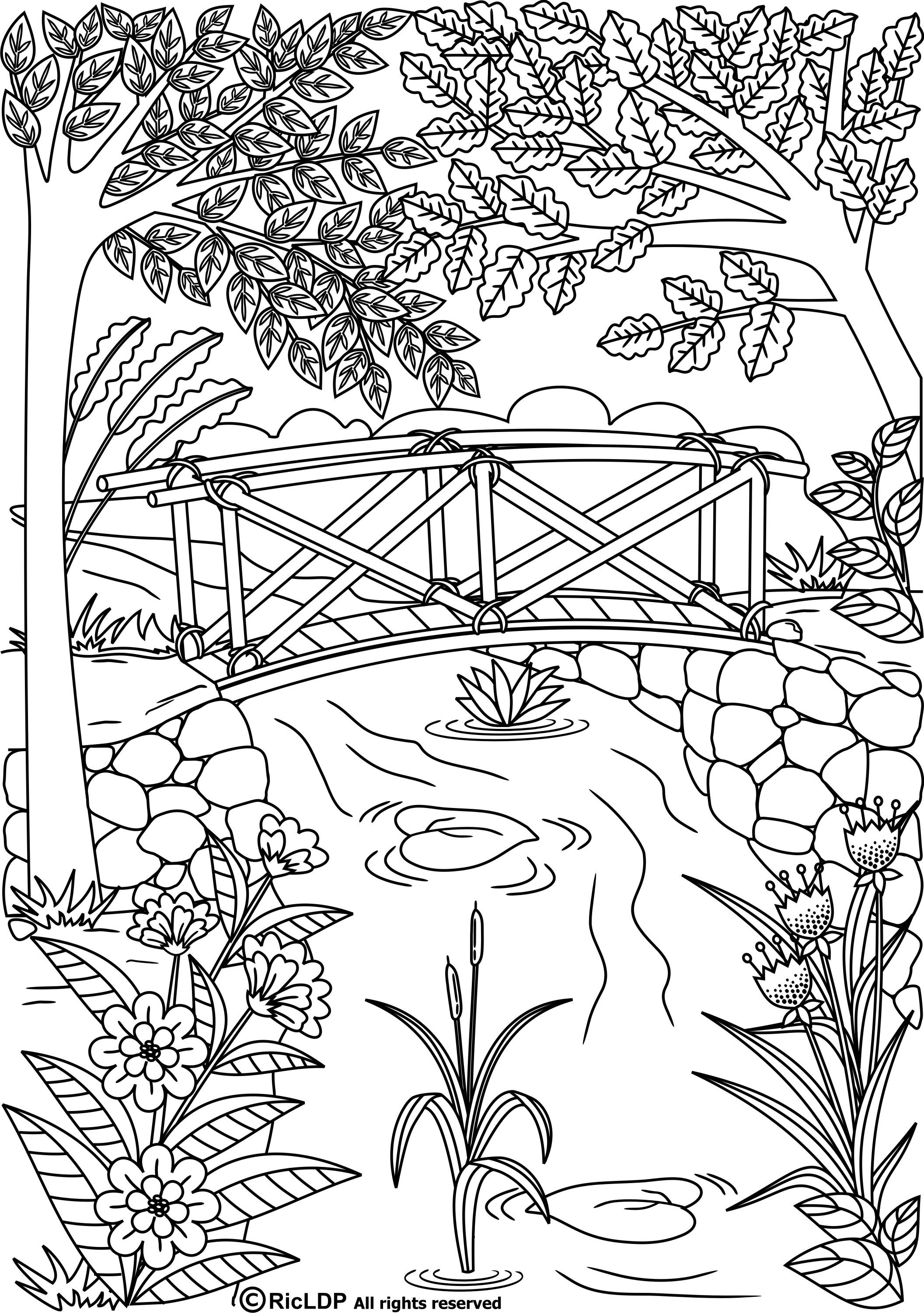 Tranquil Branches Coloring Pages Printable 3