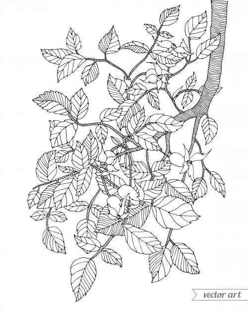 Tranquil Branches Coloring Pages Printable 30