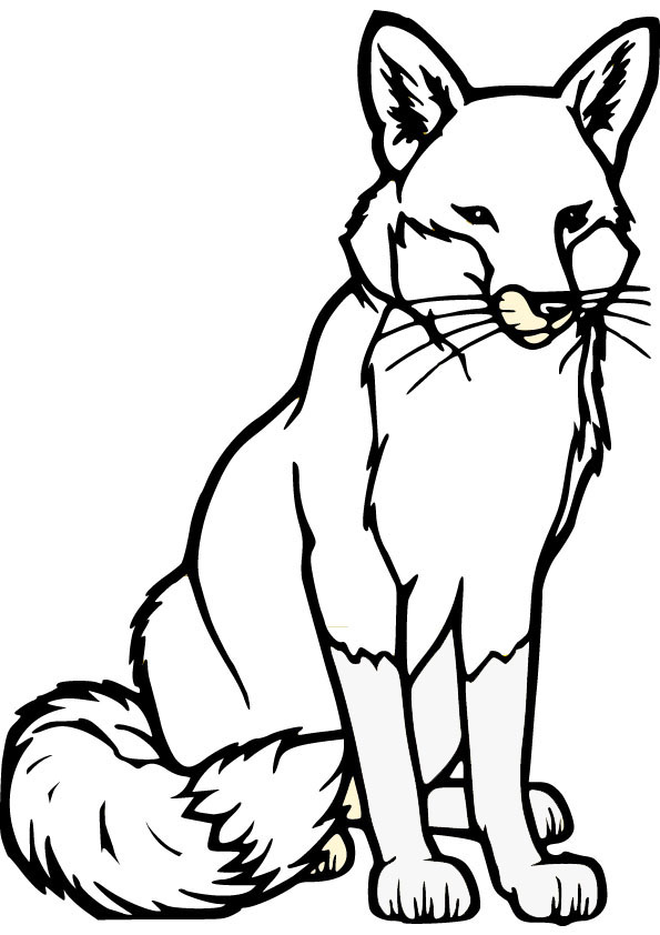 adorable foxes coloring pages printable jpg