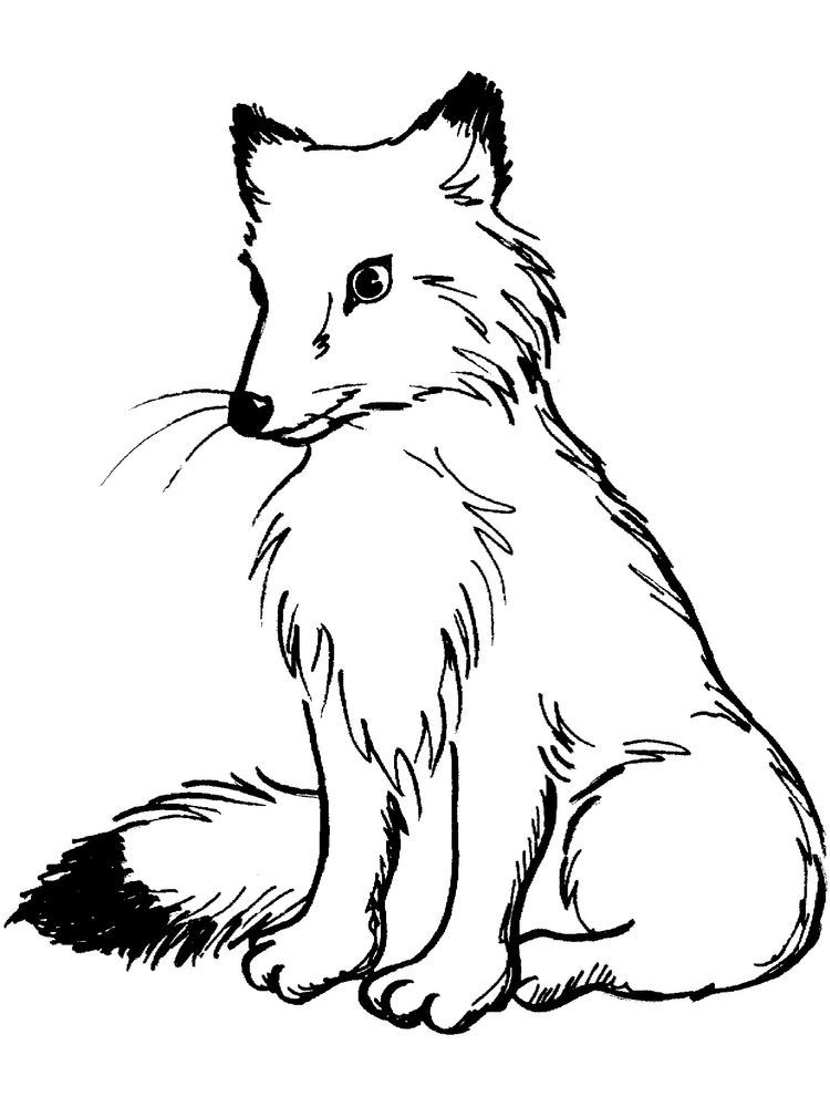 adorable foxes coloring pages printable jpg