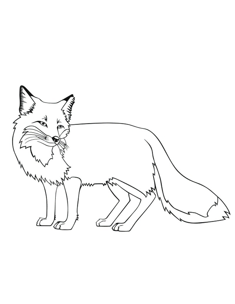 30 Adorable Foxes Coloring Pages Printable 3