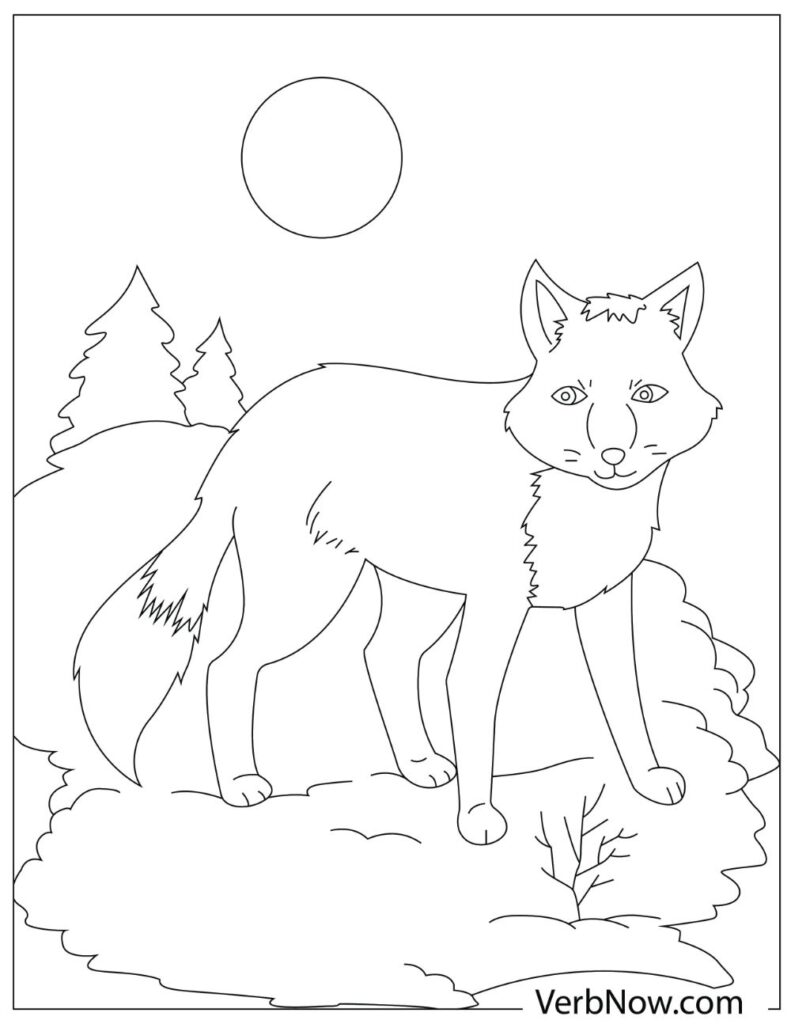 30 Adorable Foxes Coloring Pages Printable 30