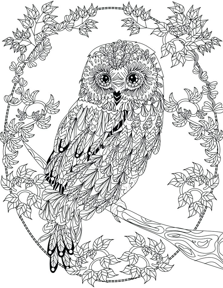 30 Animal Mandala Coloring Pages Printable 26