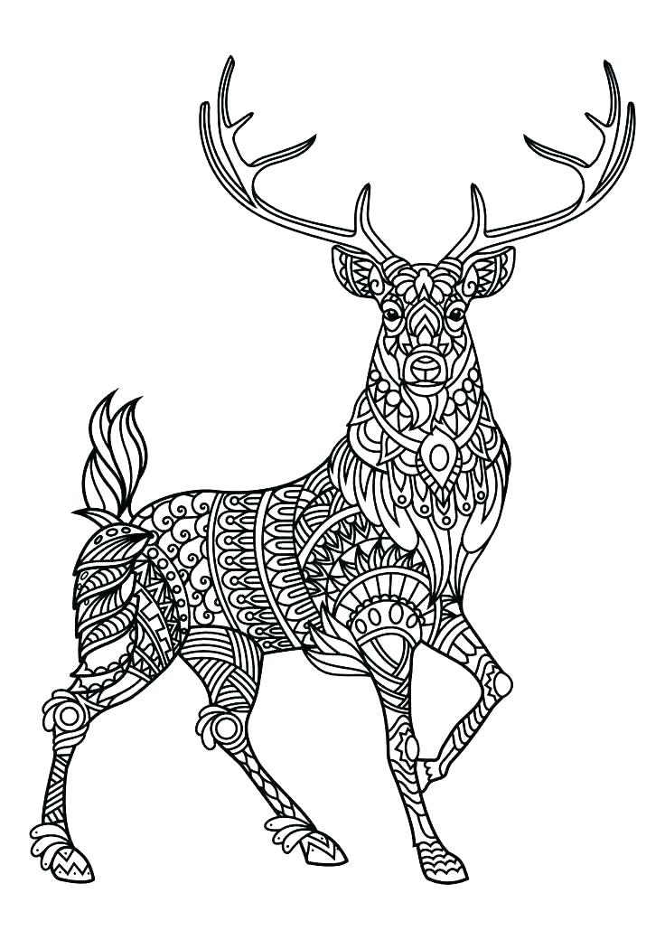 30 Animal Mandala Coloring Pages Printable 34