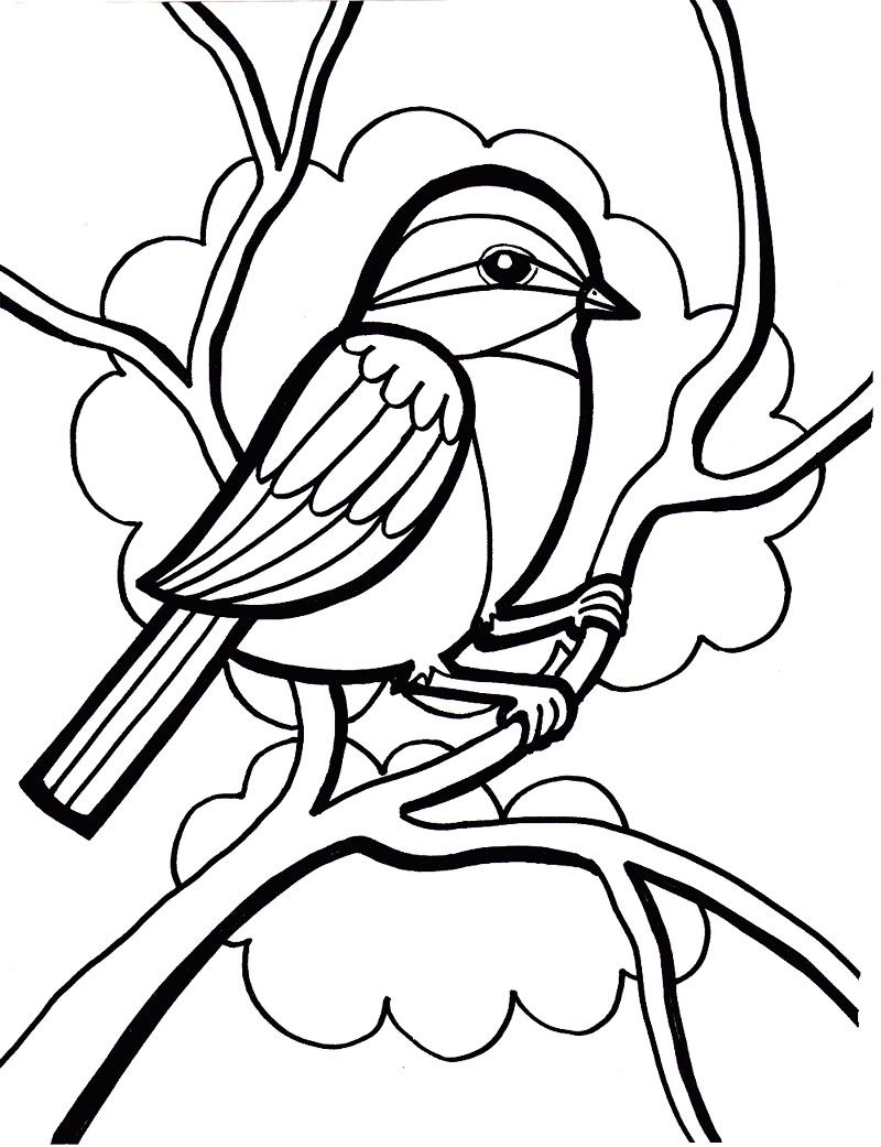 30 Sparrow Coloring Pages Printable 11