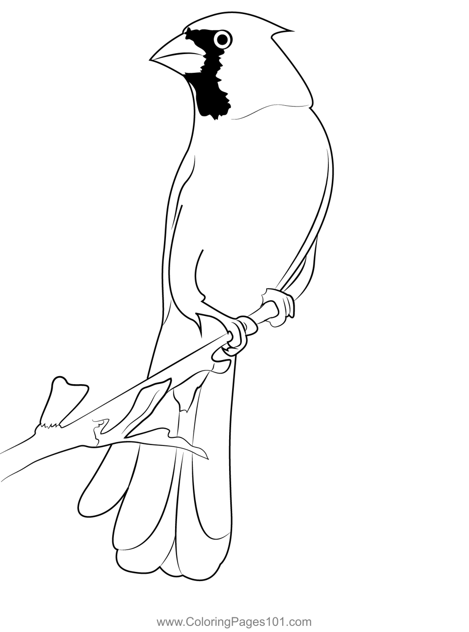 30 Sparrow Coloring Pages Printable 14