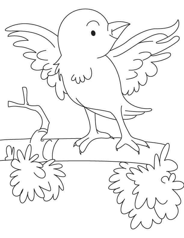 30 Sparrow Coloring Pages Printable 24