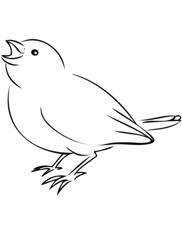 30 Sparrow Coloring Pages Printable 29