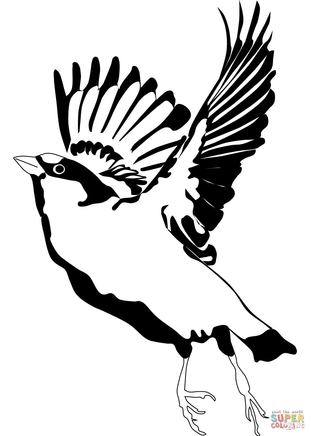 30 Sparrow Coloring Pages Printable 31