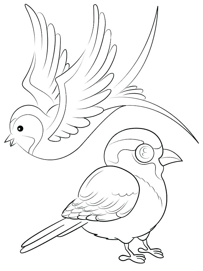 30 Sparrow Coloring Pages Printable 35