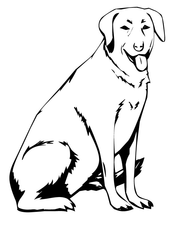 31 Labrador Coloring Pages Printable 11