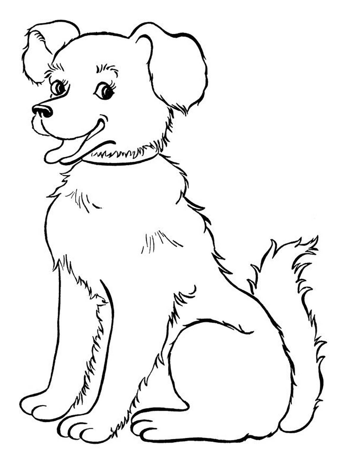 31 Labrador Coloring Pages Printable 16