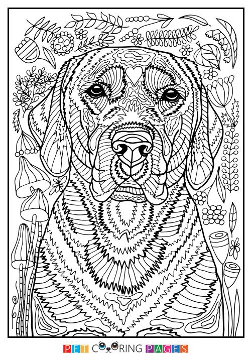 31 Labrador Coloring Pages Printable 18