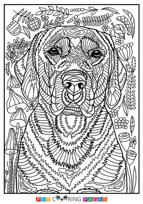 31 Labrador Coloring Pages Printable 19