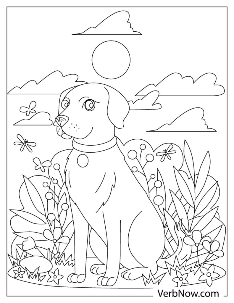 31 Labrador Coloring Pages Printable 2