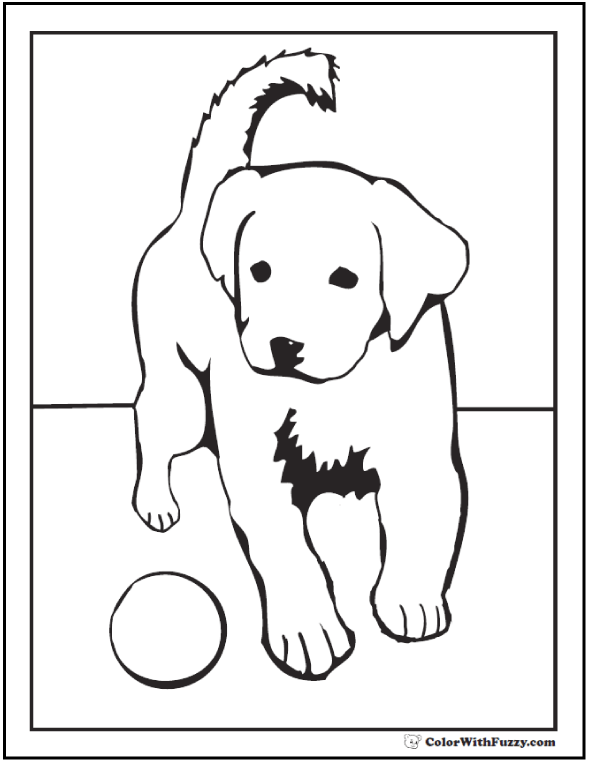 31 Labrador Coloring Pages Printable 21