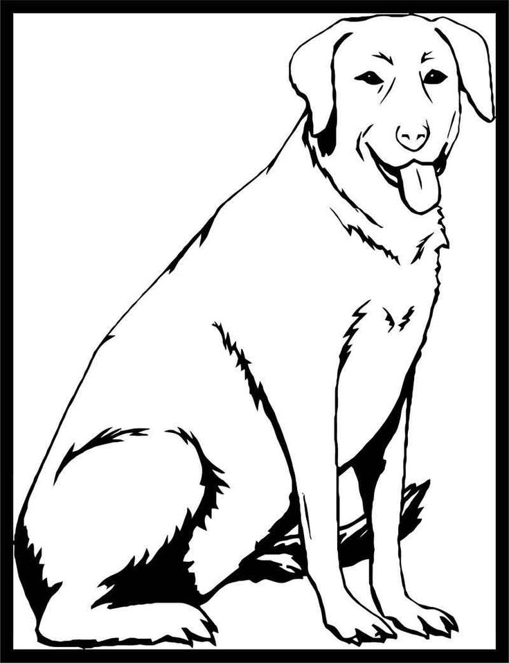 labrador coloring pages printable jpg