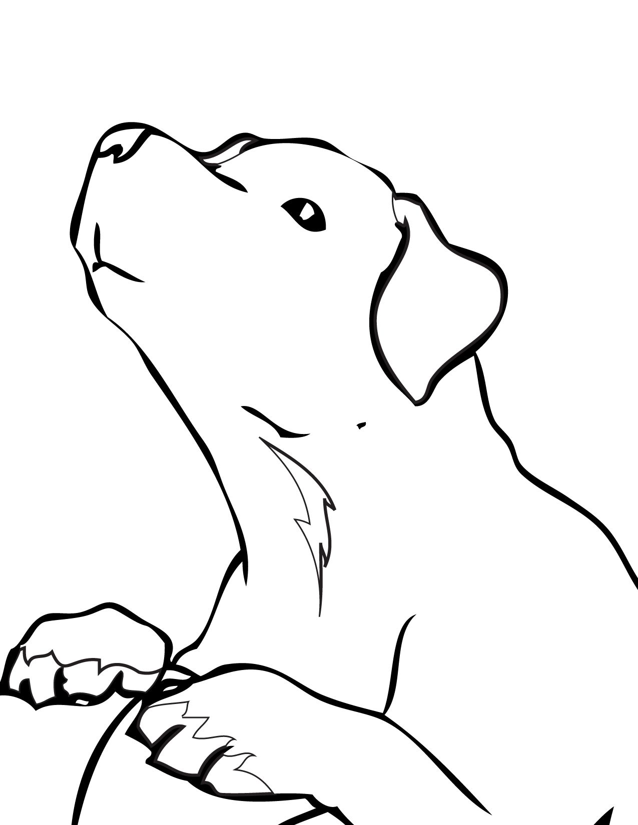 31 Labrador Coloring Pages Printable 28