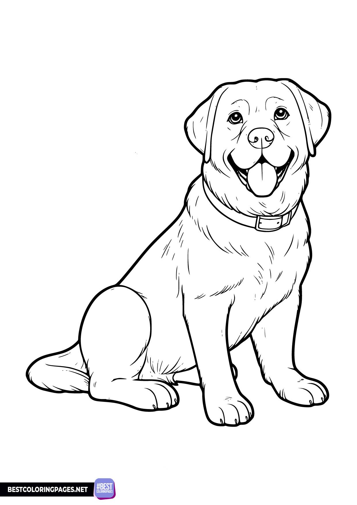 31 Labrador Coloring Pages Printable 29