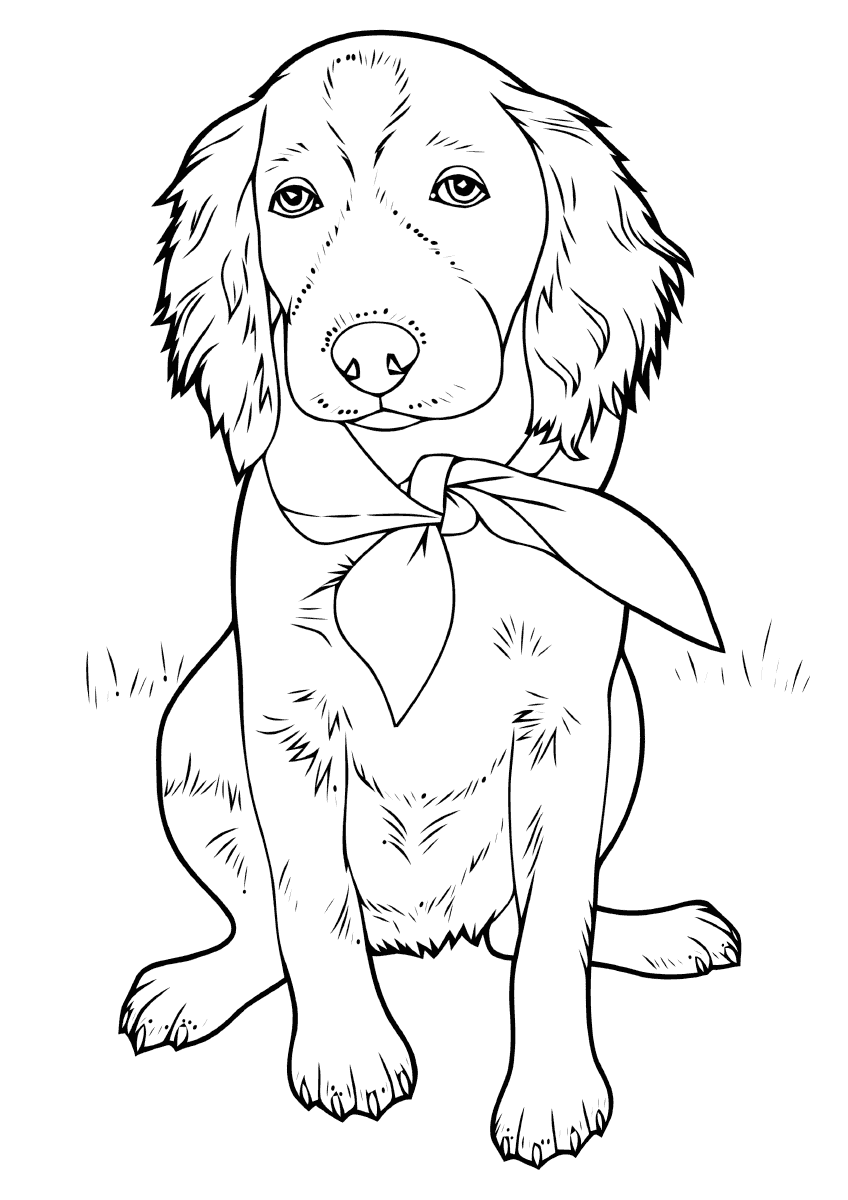 31 Labrador Coloring Pages Printable 31