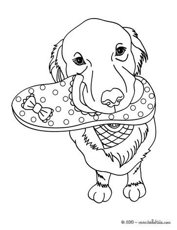 31 Labrador Coloring Pages Printable 32