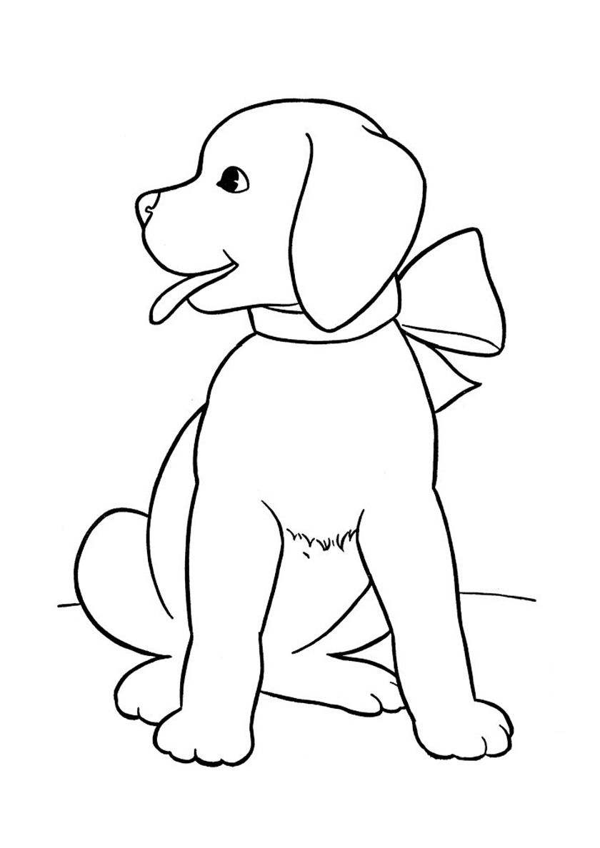 labrador coloring pages printable jpg