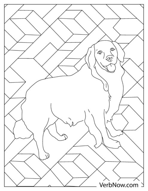 31 Labrador Coloring Pages Printable 35