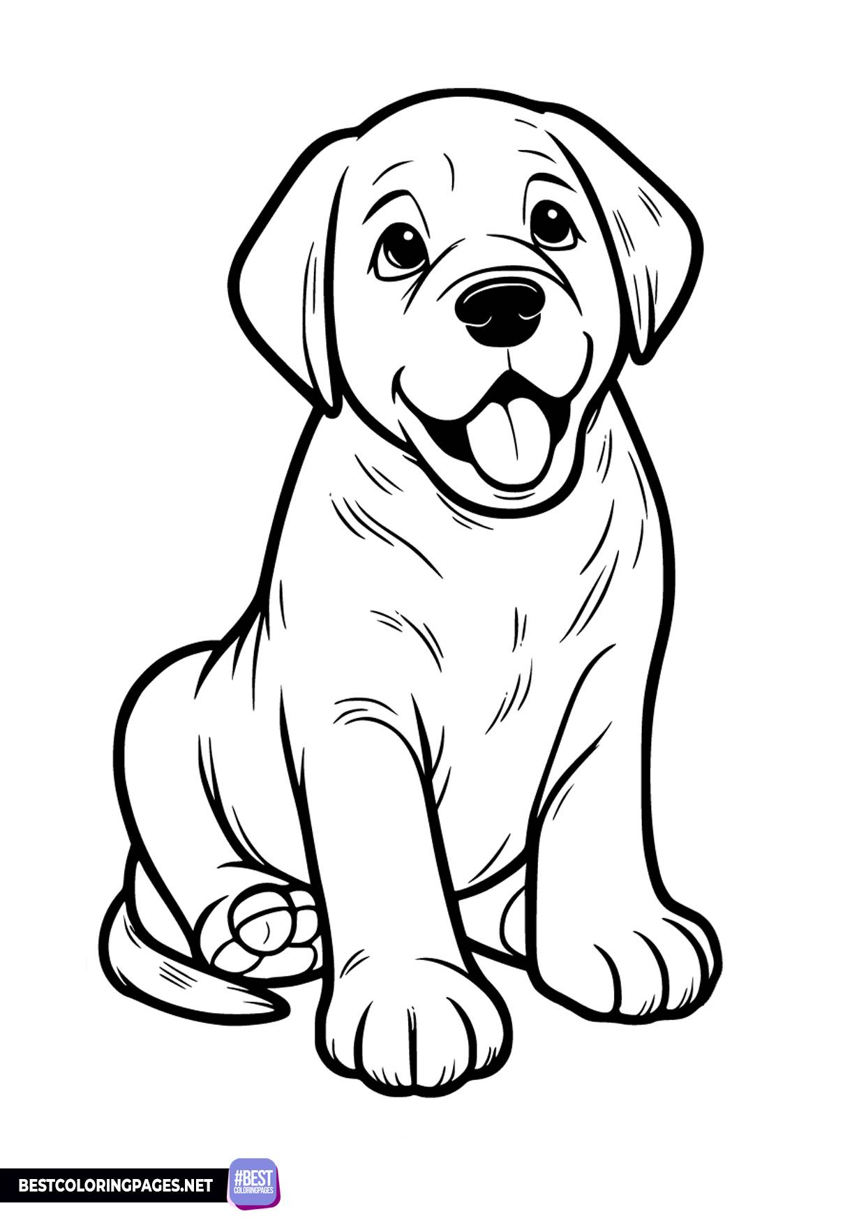 31 Labrador Coloring Pages Printable 4