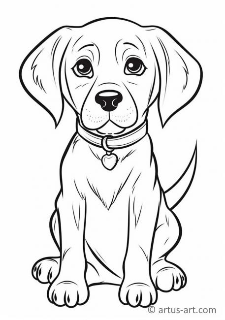 31 Labrador Coloring Pages Printable 5