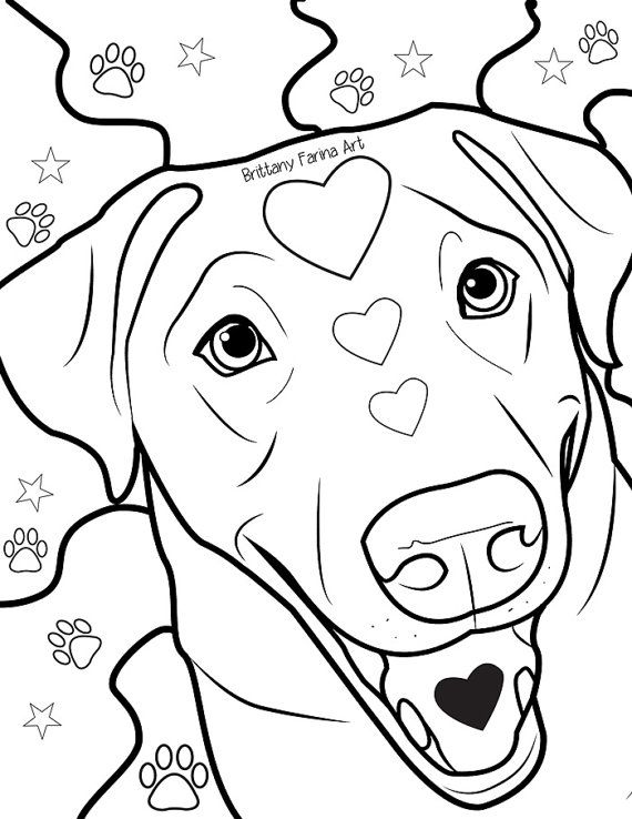 31 Labrador Coloring Pages Printable 6