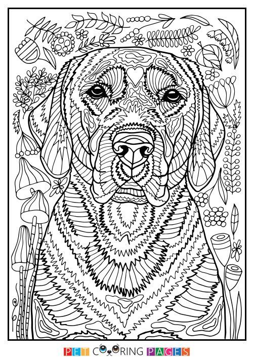 31 Labrador Coloring Pages Printable 8