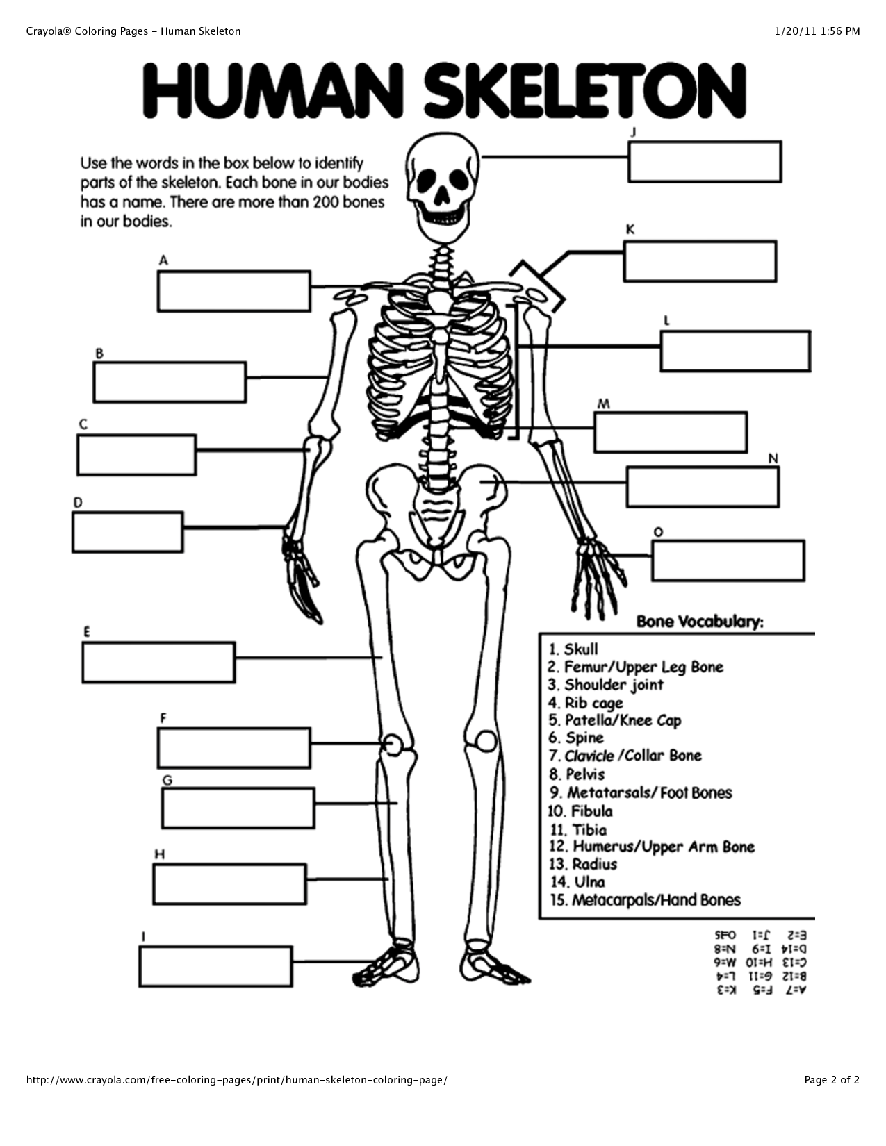 31 Spooky Skeleton Coloring Pages for Kids Printable 18