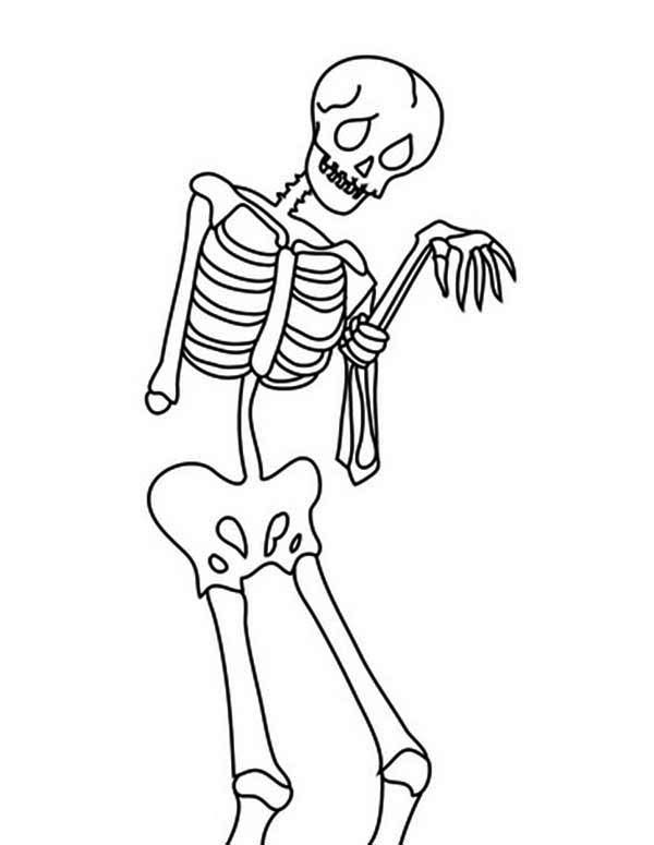 31 Spooky Skeleton Coloring Pages for Kids Printable 20